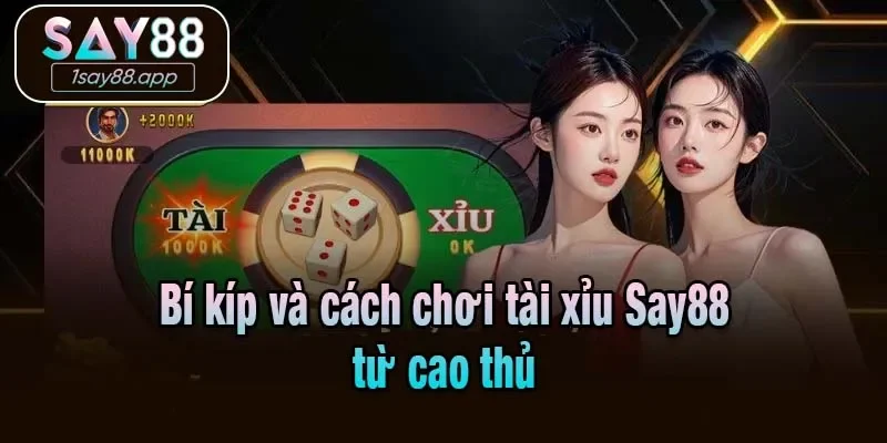Bí kíp và cách chơi tài xỉu Say88 từ cao thủ
