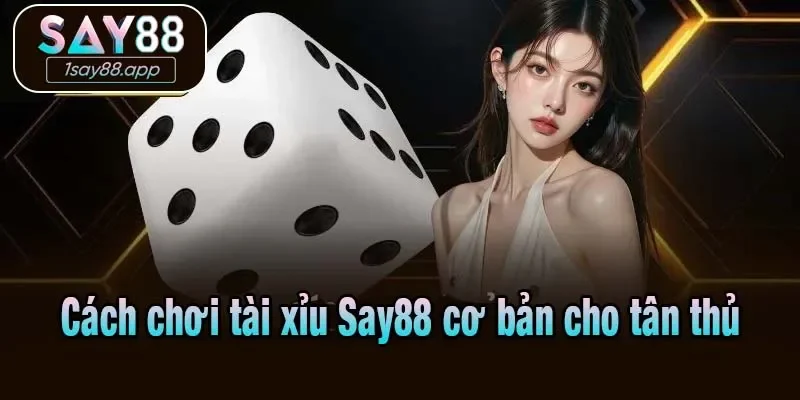Cách chơi tài xỉu Say88 cơ bản cho tân thủ