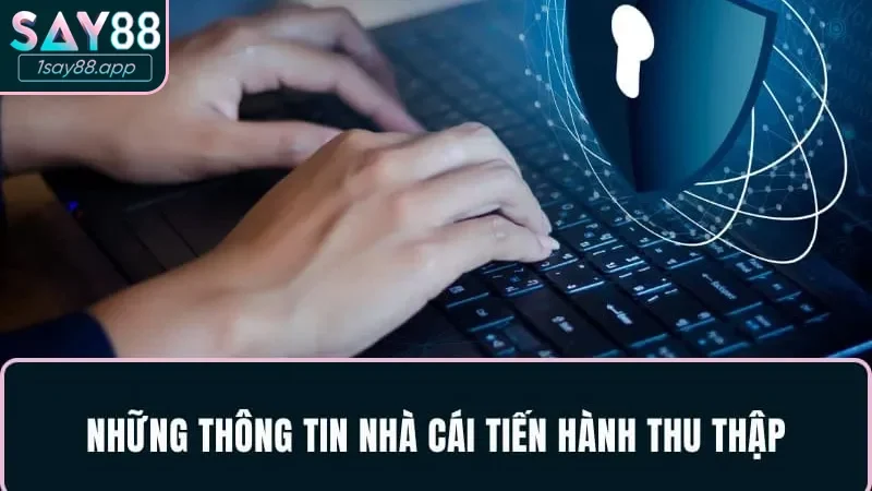 Những thông tin được thu thập