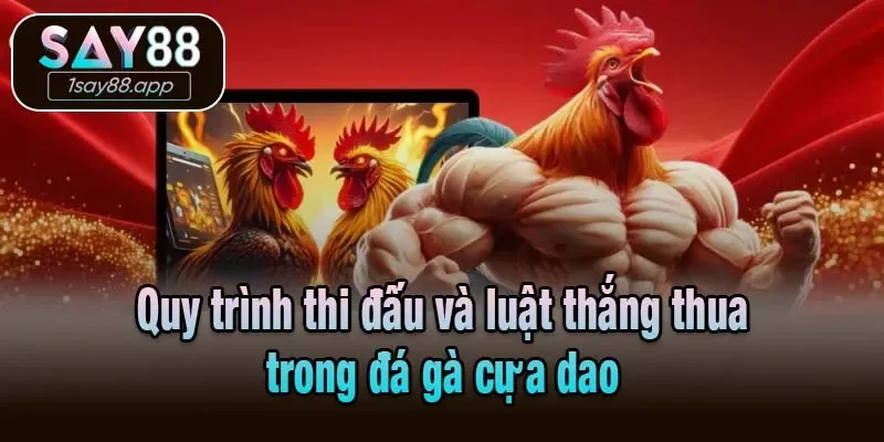 Quy trình thi đấu và luật thắng thua trong đá gà cựa dao
