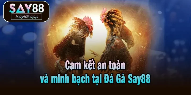 Cam kết an toàn và minh bạch tại Đá Gà Say88