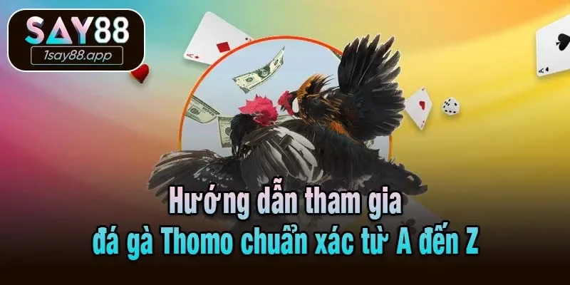 Hướng dẫn tham gia đá gà Thomo chuẩn xác từ A đến Z