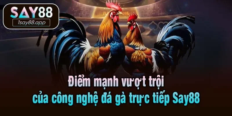 Điểm mạnh vượt trội của công nghệ đá gà trực tiếp Say88