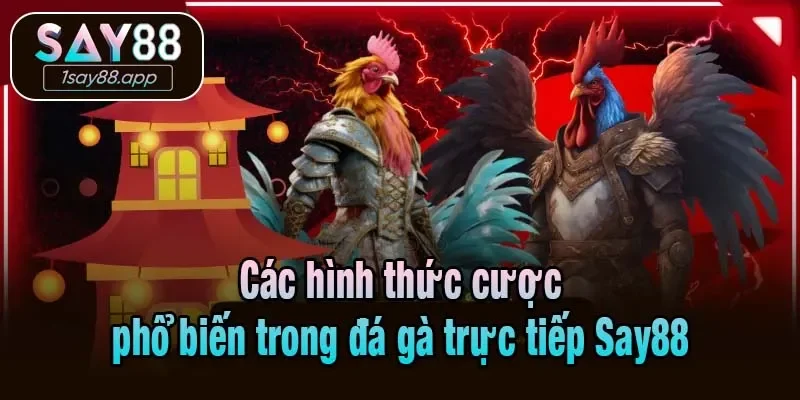 Các hình thức cược phổ biến trong đá gà trực tiếp Say88