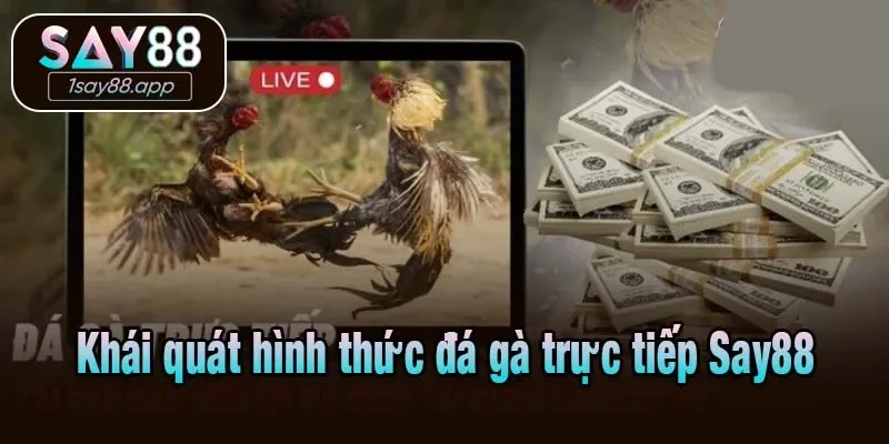 Khái quát hình thức đá gà trực tiếp Say88