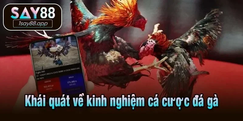 Tìm hiểu về kinh nghiệm cá cược đá gà từ Say88