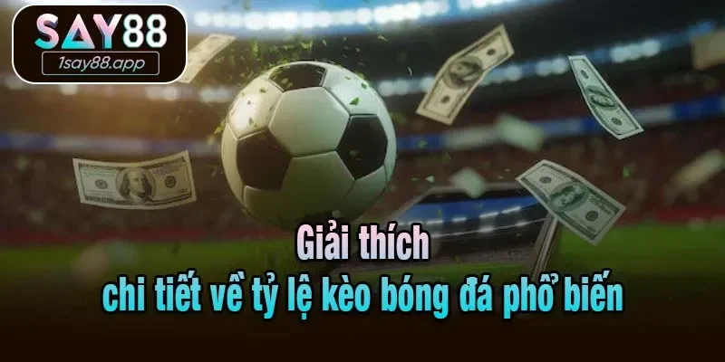 Giải thích chi tiết về tỷ lệ bóng đá phổ biến