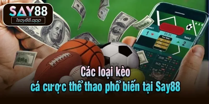 Các loại cá đánh giá có thể được sử dụng phổ biến tại Say88